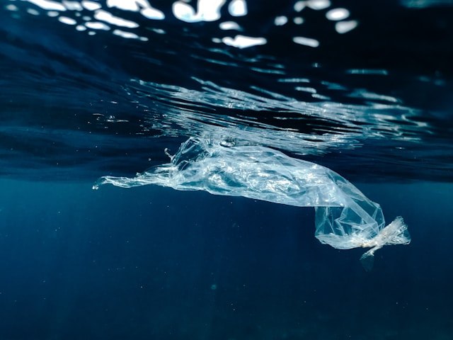 plastic_tasje_in_water