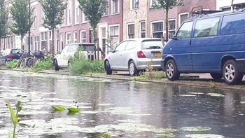 Foto bij Wandeling in Delft 720x405px2